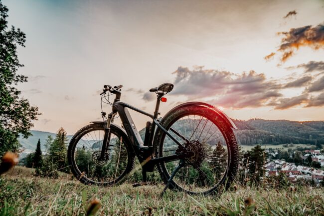 mountain-bike-5567847_1920 vélo électrique